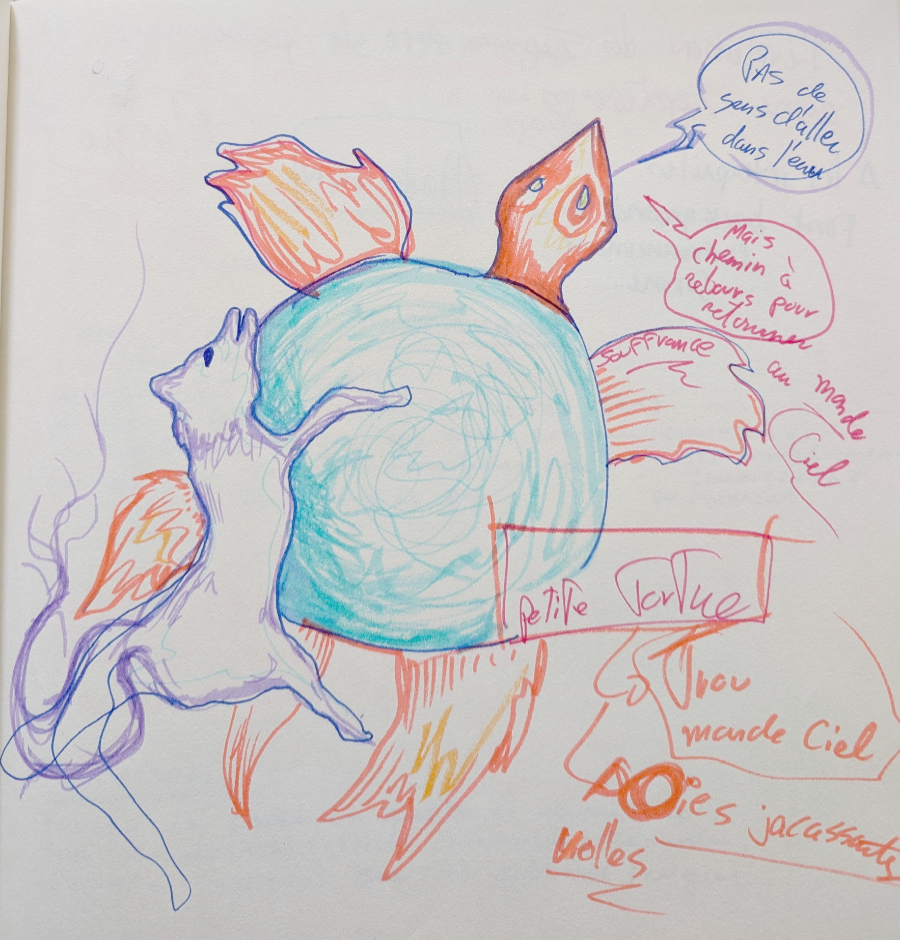 LK dessin tortue et louve Dessin de tortue et louve